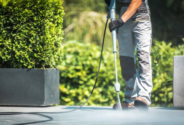 Best Roof Cleaning and Mildew Removal in Narragansett Pier, RI